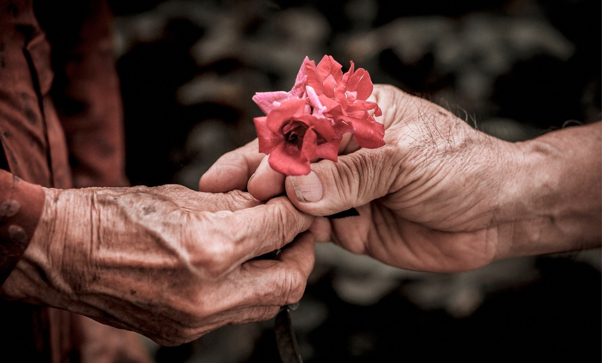 chau trai chup anh cho ong ba anh 3