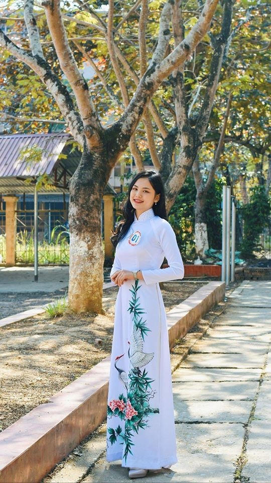 hoa khôi lào cai ảnh 2 hoa khoi lao cai anh 2