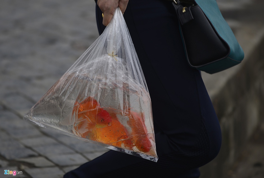 cung ong cong ong tao anh 2