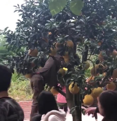 hinh anh xau xi di le chua anh 8