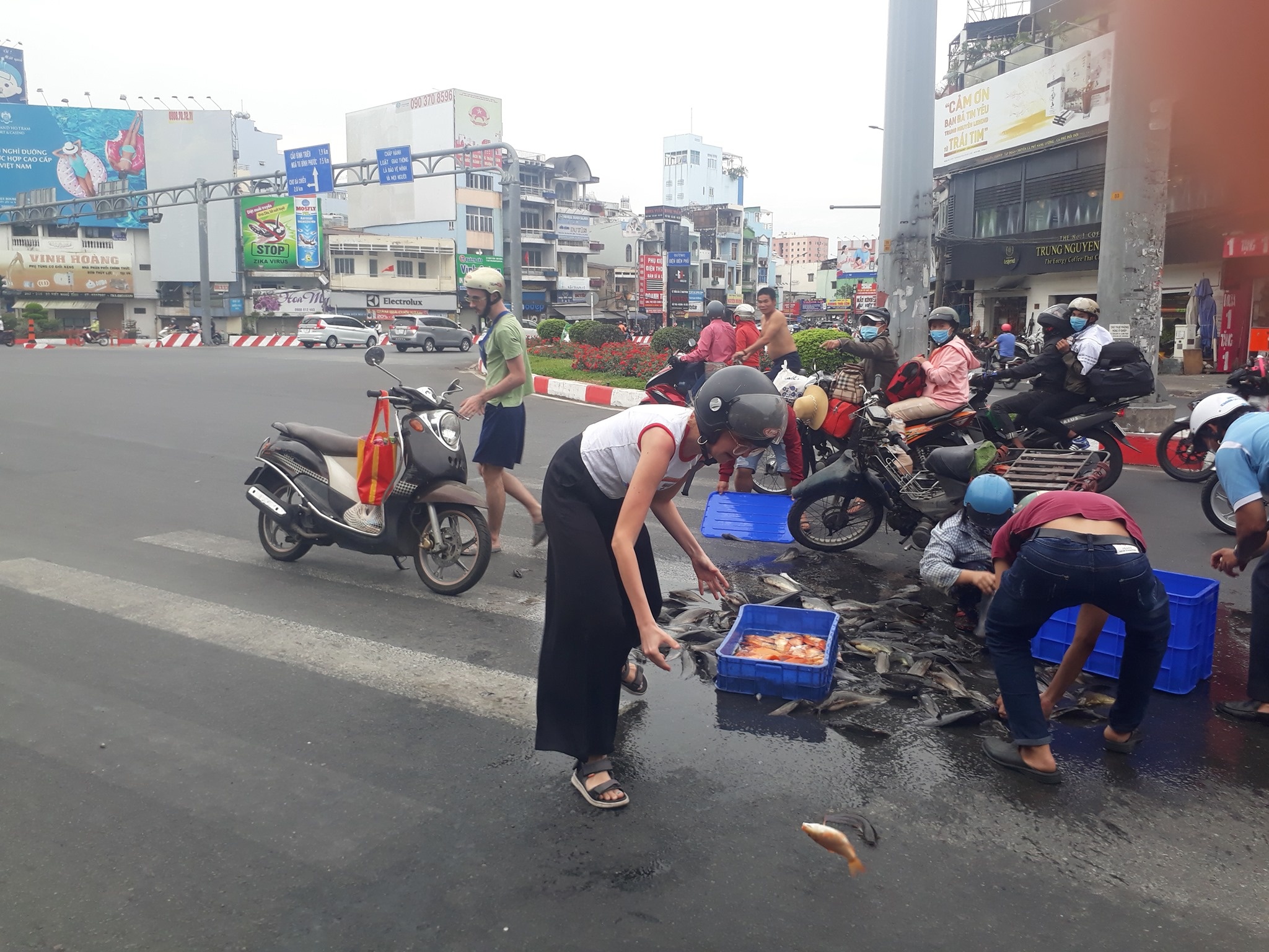 giup xe cho ca bi do anh 1