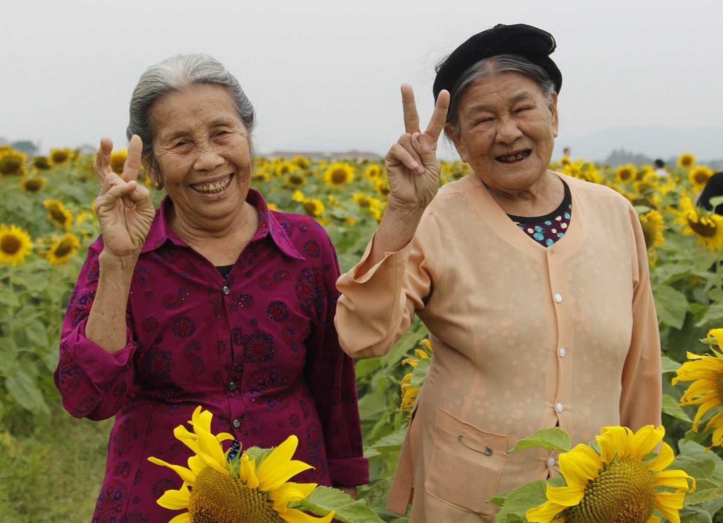 Hai cu ba tao dang dang yeu giua canh dong hoa ky niem 60 nam tinh ban hinh anh