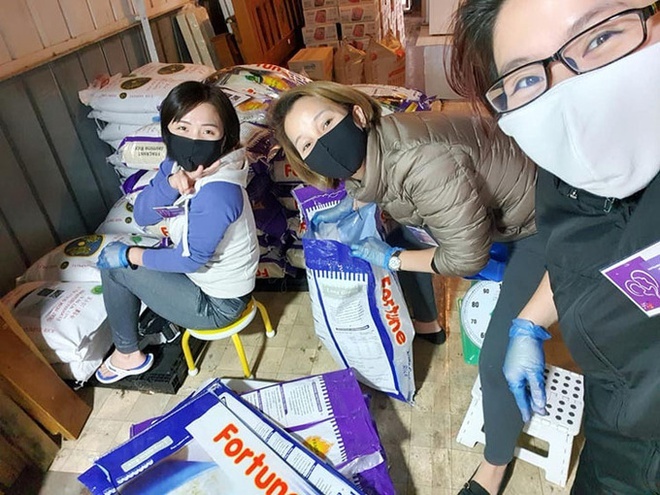 cau chuyen mua dich anh 5