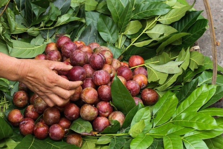 Nhung dieu kieng ky va mon an khong the thieu trong Tet Doan ngo hinh anh