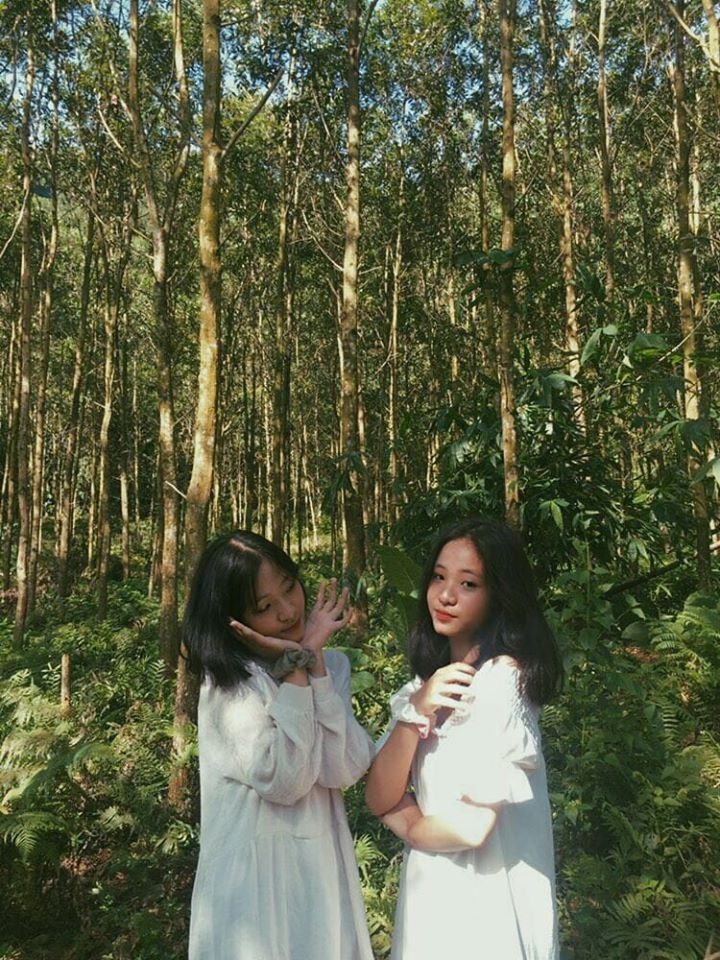 chi em song sinh cover anh 1