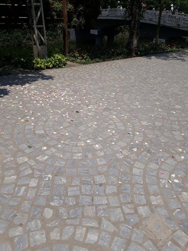 hinh anh xau xi cua ban tre di du lich anh 6