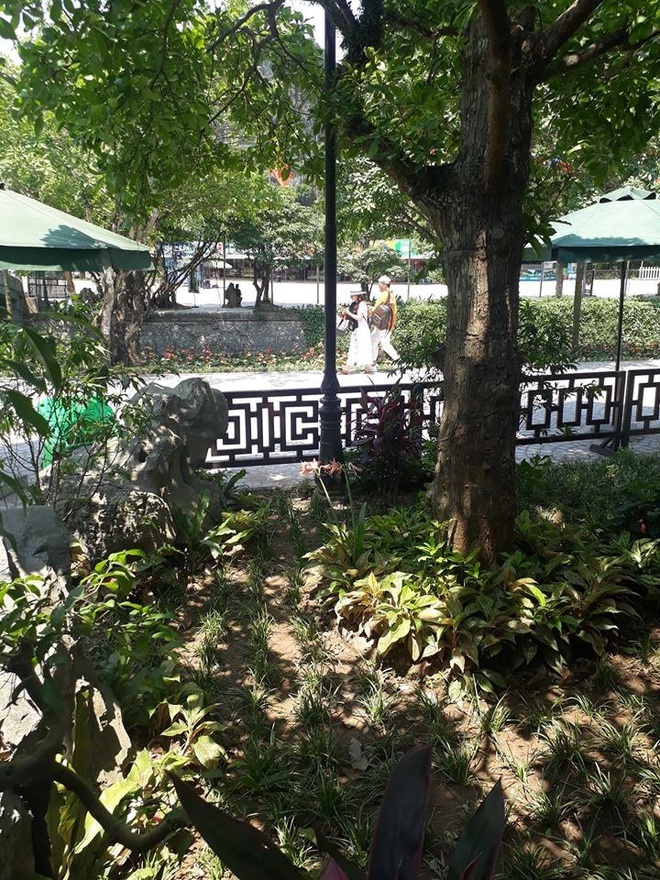 hinh anh xau xi cua ban tre di du lich anh 7