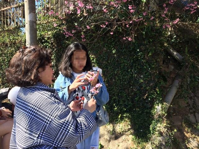 hinh anh xau xi cua ban tre di du lich anh 10