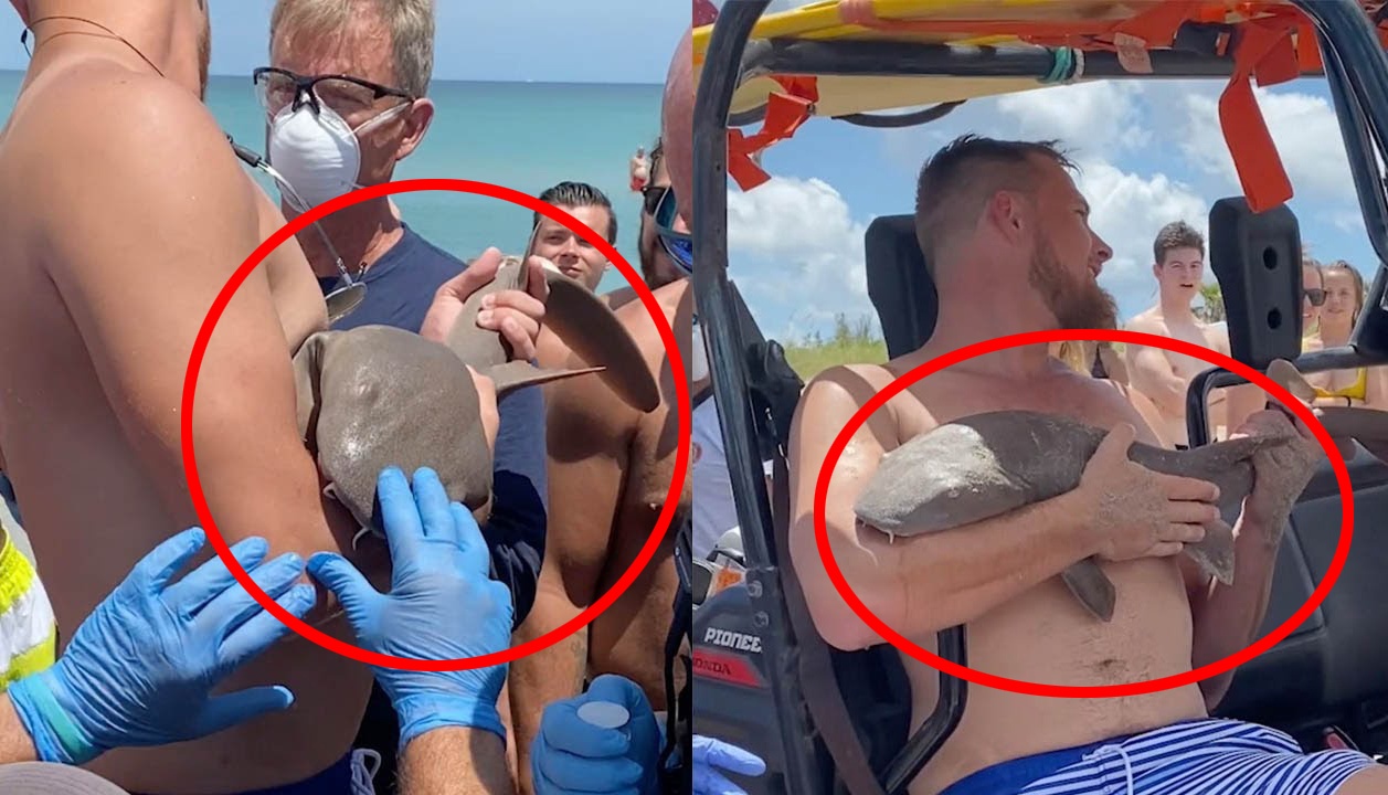 Nguoi dan ong mang theo ca map len bo hinh anh