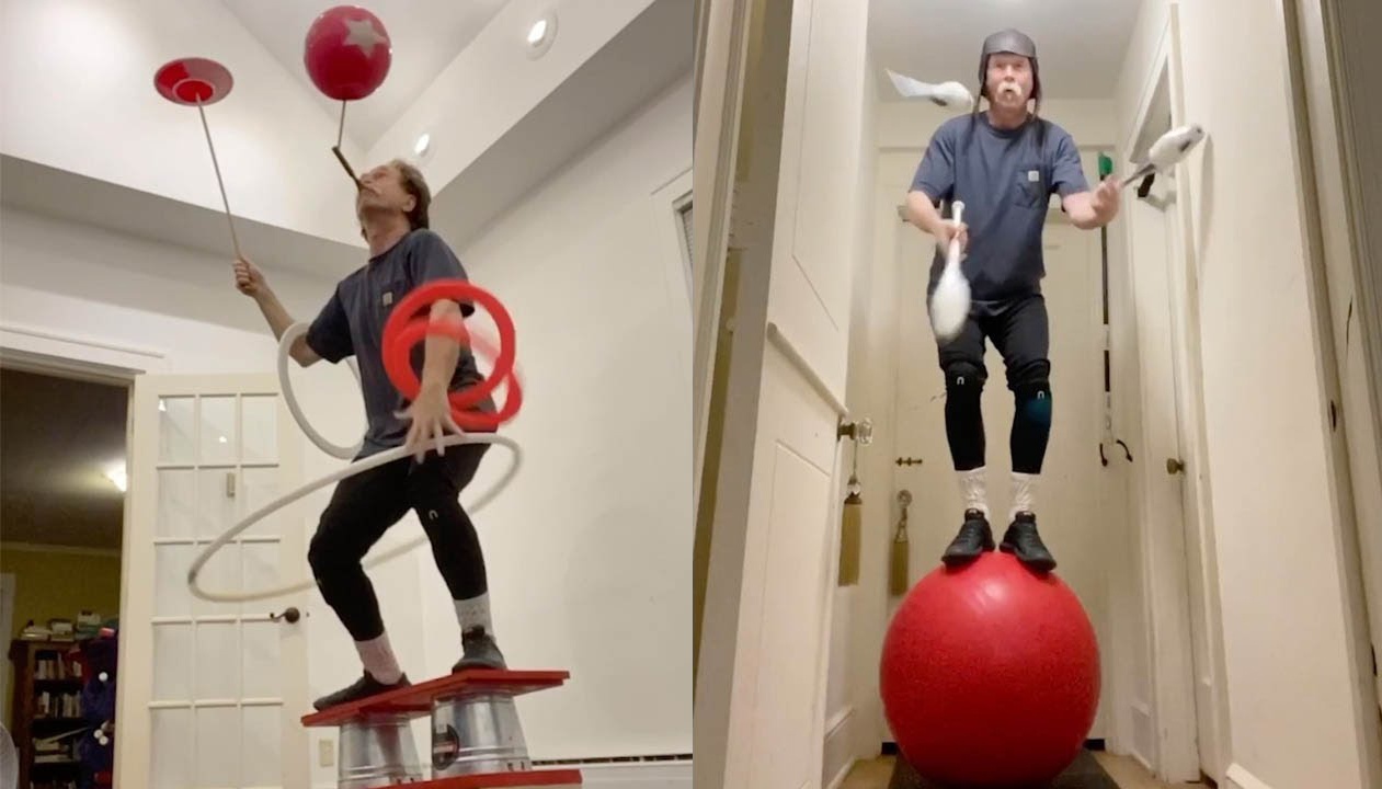 Cu ong co kha nang tung hung va giu can bang moi thu hinh anh