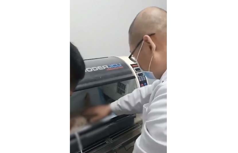 bạo hành mèo ảnh 1 bao hanh meo anh 1