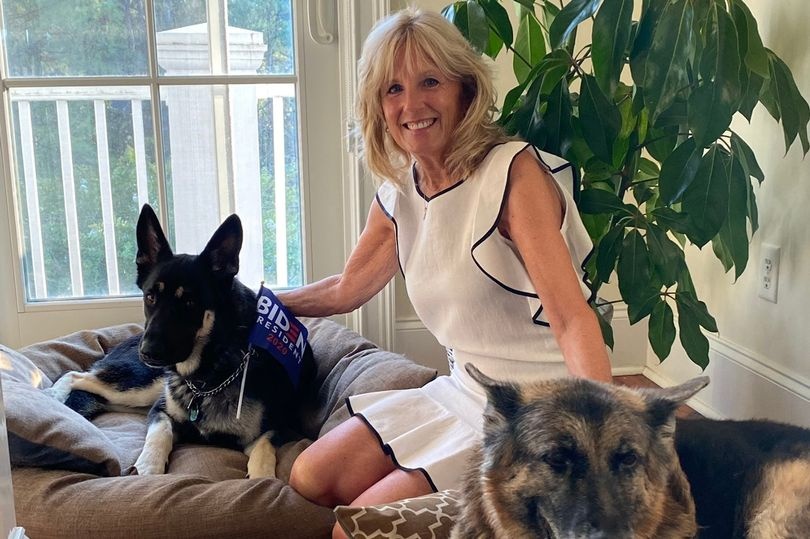 de nhat thu cung anh 1