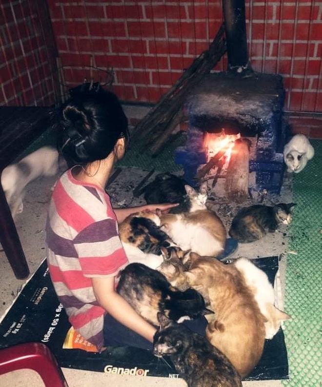 bố phố về quê nuôi mèo ảnh 4 bo pho ve que nuoi meo anh 4