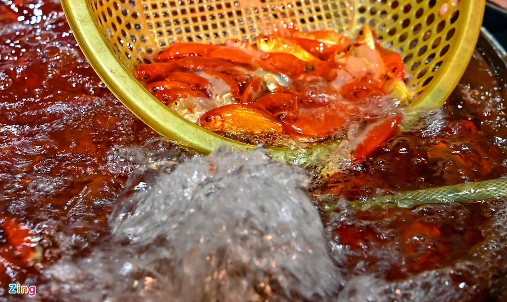 le vat ong Cong on Tao anh 5