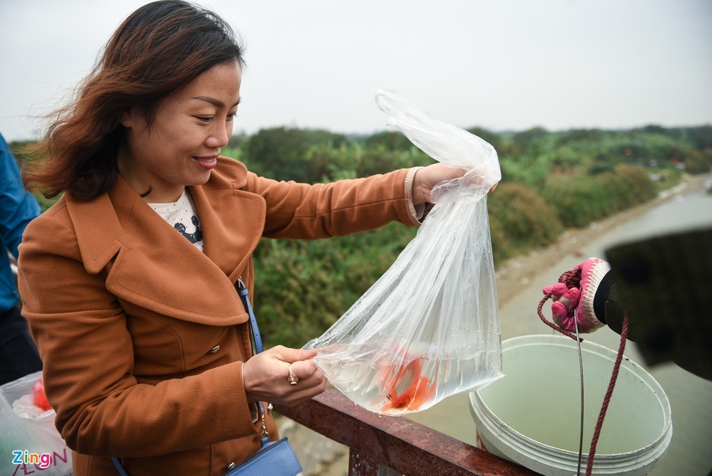 ong cong ong tao anh 3