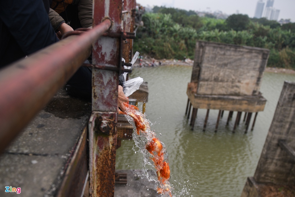 ong cong ong tao anh 2