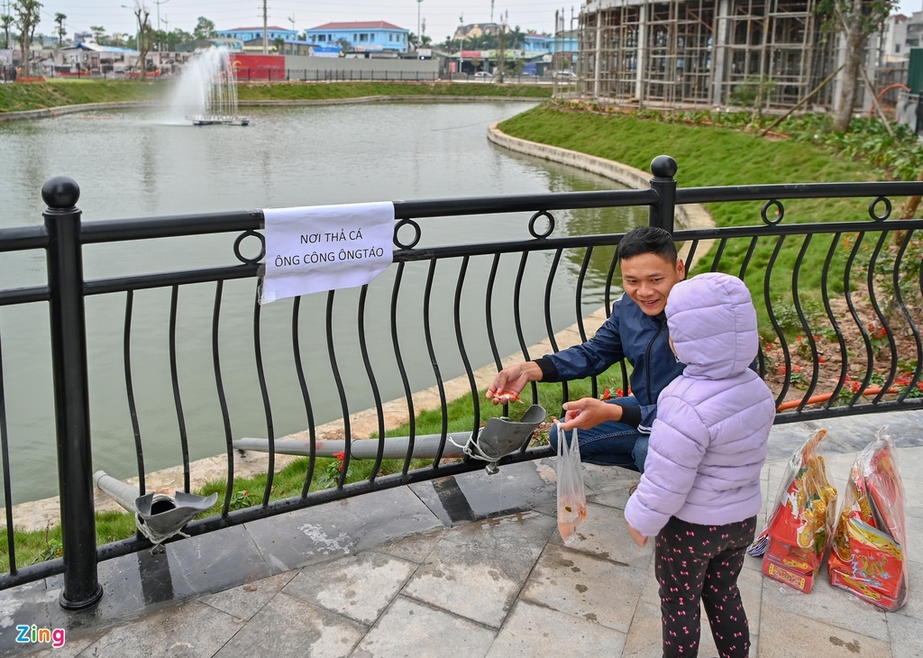 ong cong ong tao anh 5