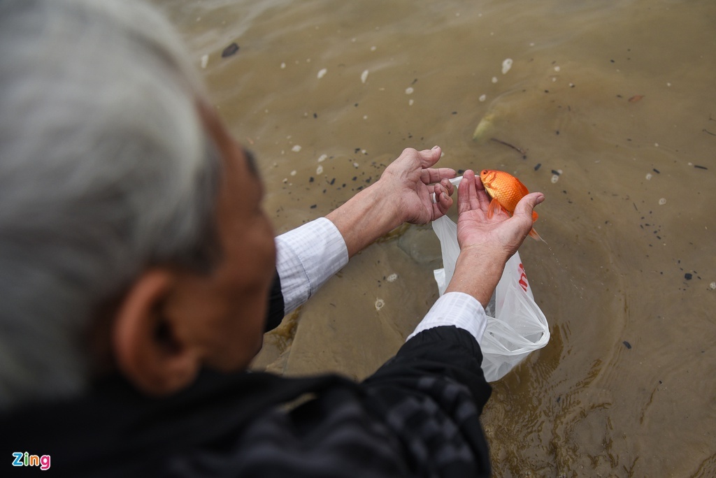 ong cong ong tao anh 6