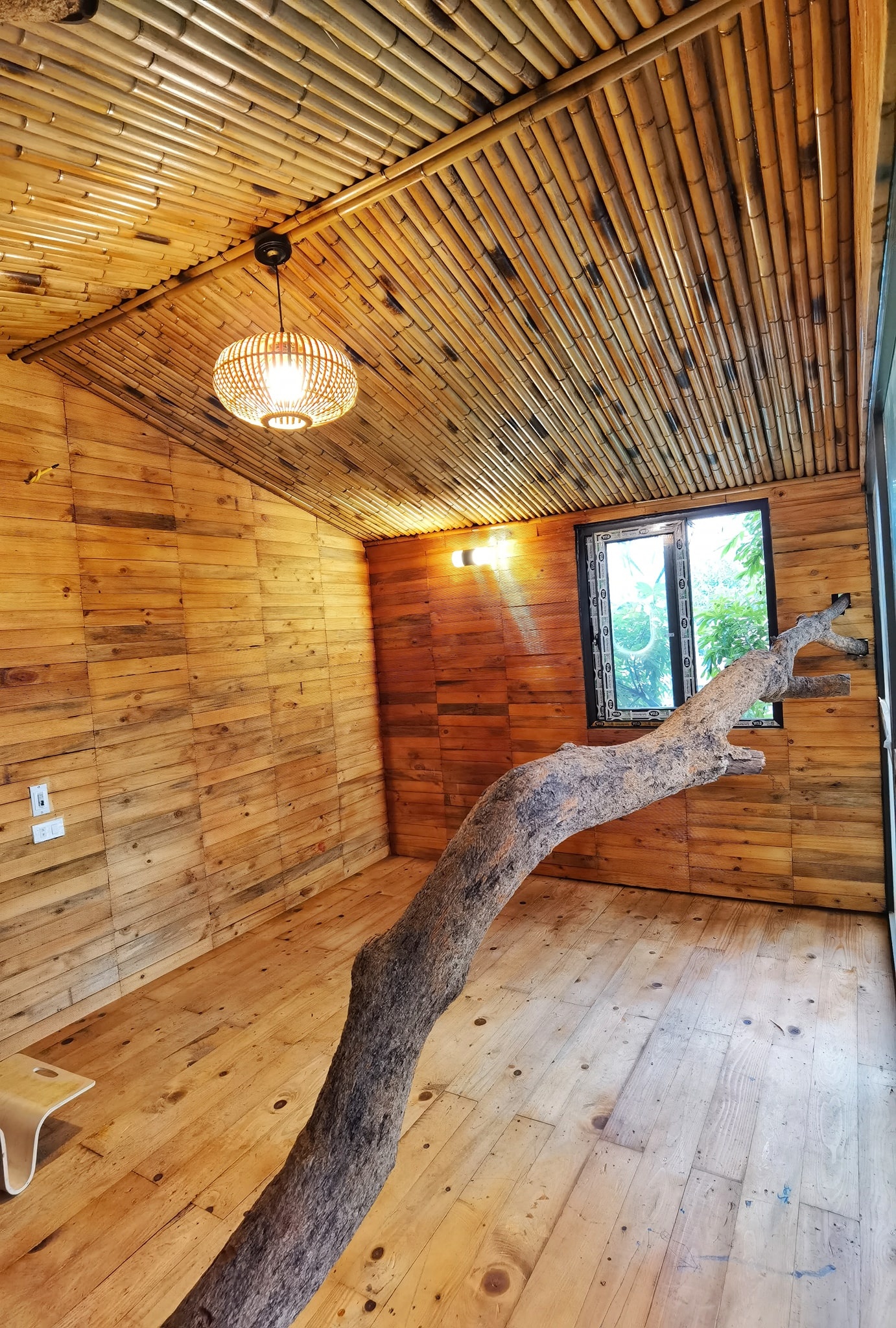 ngôi nhà trên cây nhãn ảnh 3 ngoi nha tren cay nhan anh 3