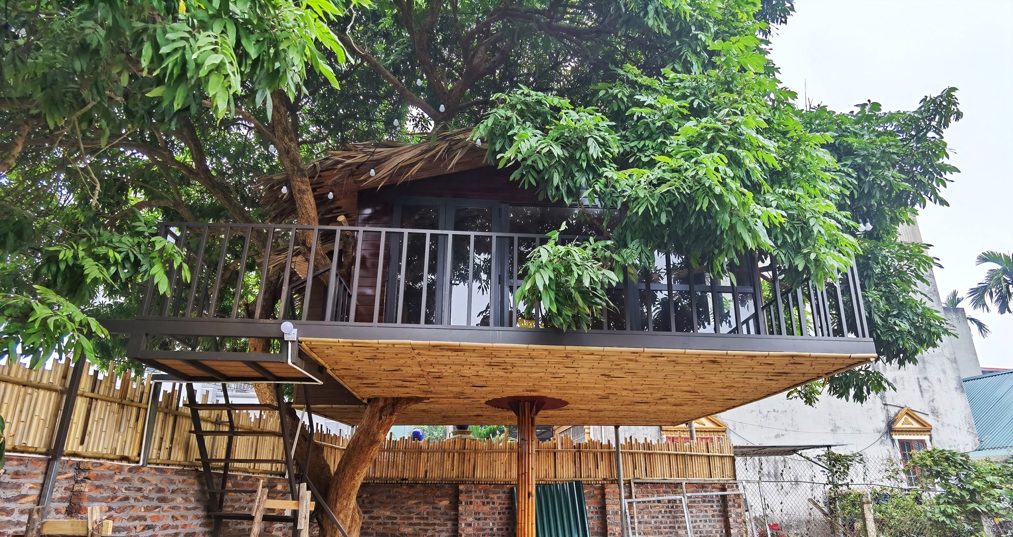 ngôi nhà trên cây nhãn ảnh 2 ngoi nha tren cay nhan anh 2