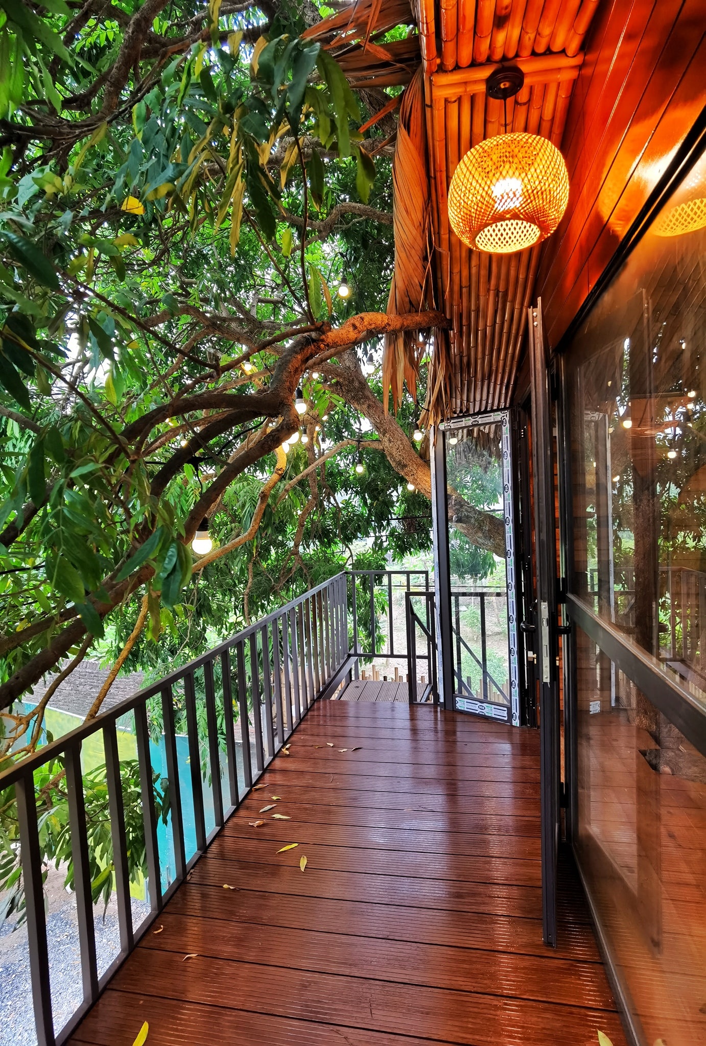 ngôi nhà trên cây nhãn ảnh 4 ngoi nha tren cay nhan anh 4