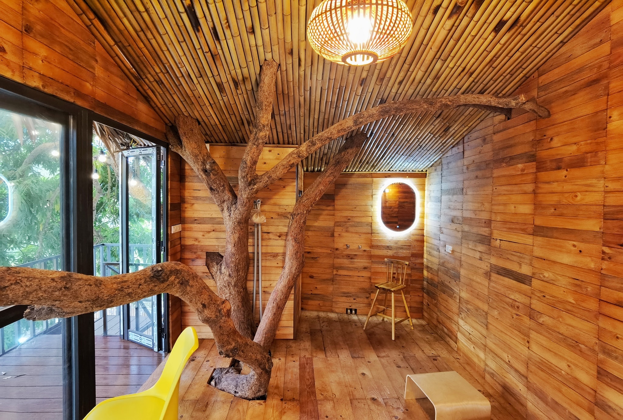 ngôi nhà trên cây nhãn ảnh 5 ngoi nha tren cay nhan anh 5