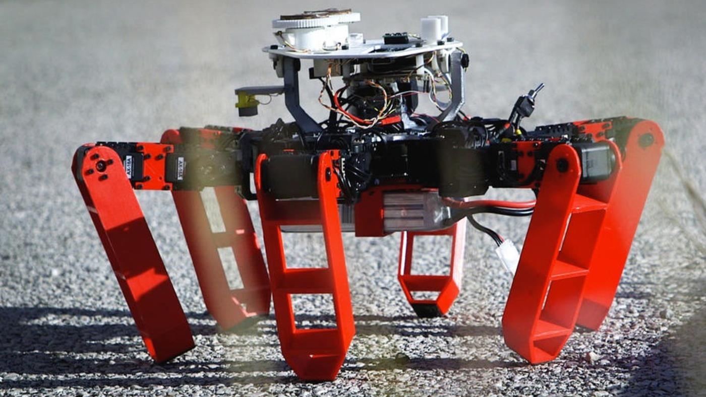 Loai robot bat chuoc kien sa mac, di chuyen khong can GPS hinh anh