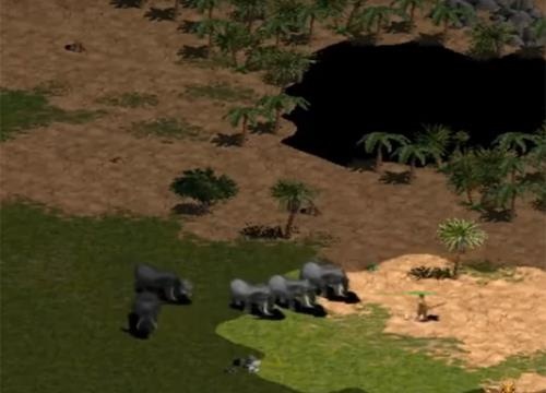 Ky luc man nhan cau 5 voi cua Chim Se Di Nang hinh anh