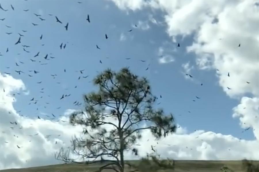 The gioi nhu dong bang trong clip sieu cham tu iPhone hinh anh