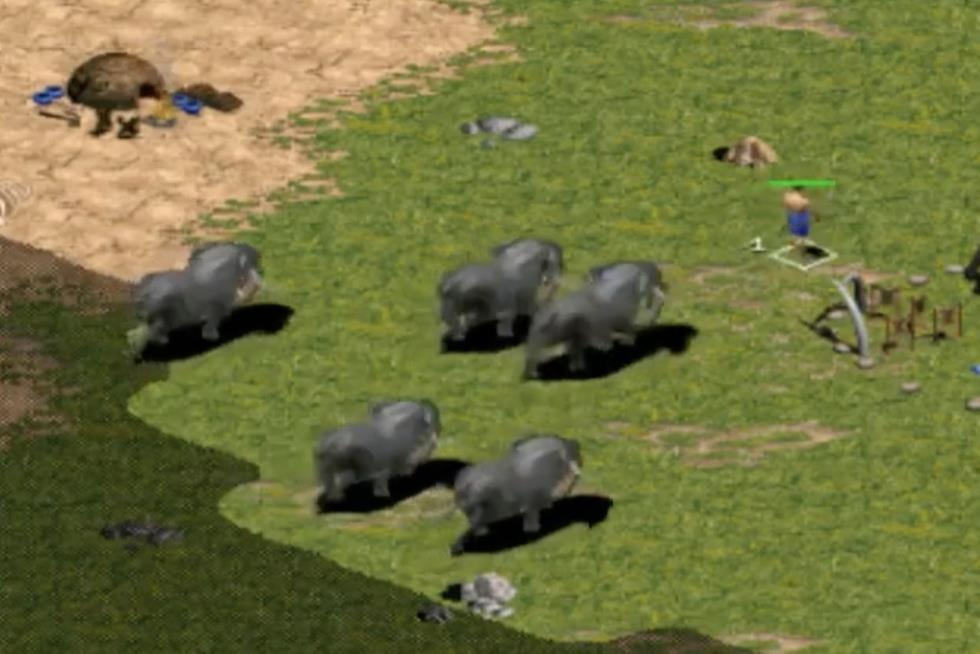 Them pha bieu dien cau 5 voi cua 'ong trum' Chim Se Di Nang hinh anh