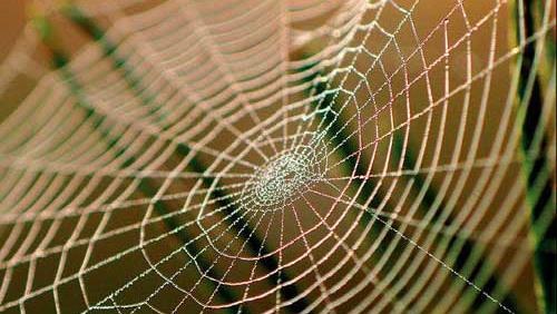 Sap san xuat duoc loai vai to nhen ben hon thep hinh anh