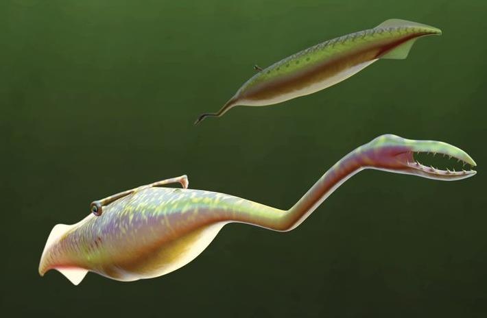 Tranh cai khong thoi ve quai vat Tully 300 trieu nam tuoi hinh anh