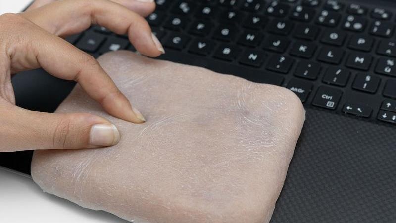 Chiec op dien thoai giong da nguoi biet rung minh hinh anh