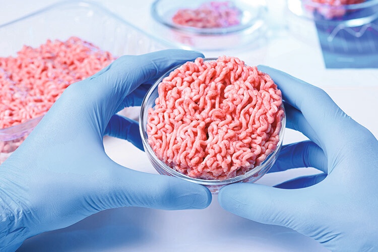 Thit gia gay tranh cai hinh anh