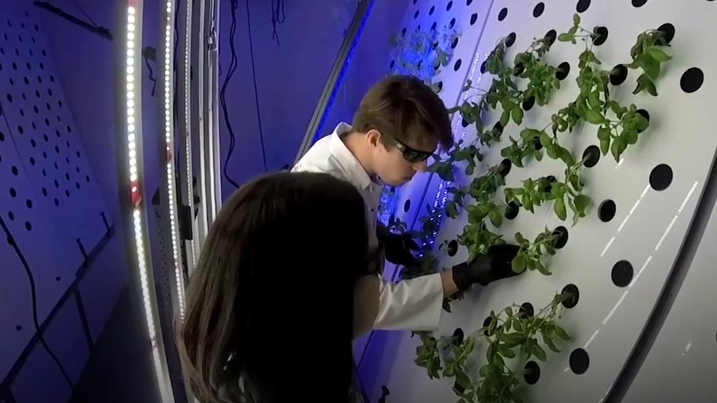 Thu nghiem trong rau trong moi truong giong sao Hoa hinh anh