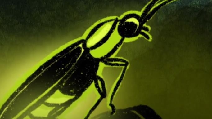 Chiec den LED dac biet lay cam hung tu dom dom hinh anh