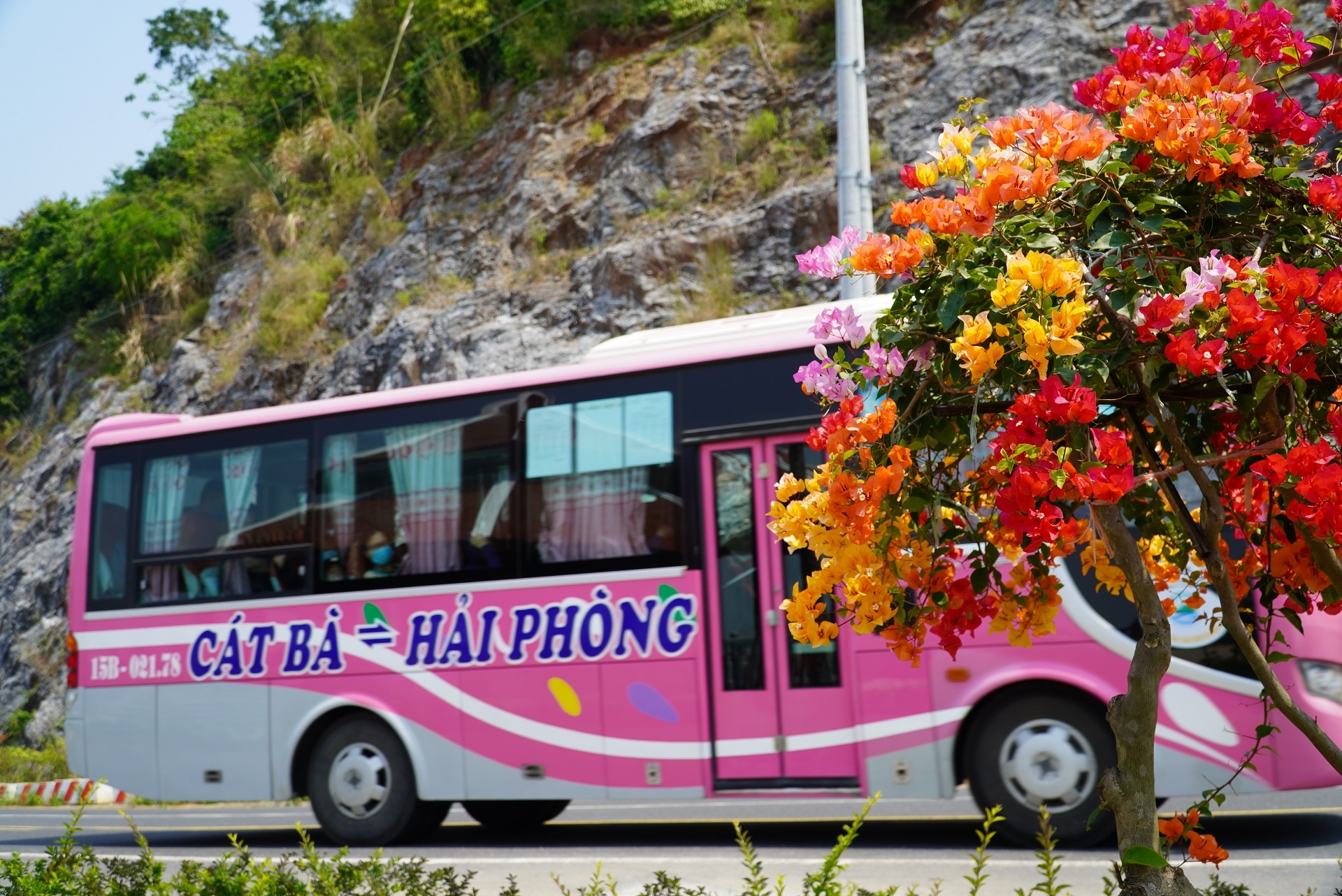 tam dung chuyen oto con sang Cat Ba anh 2