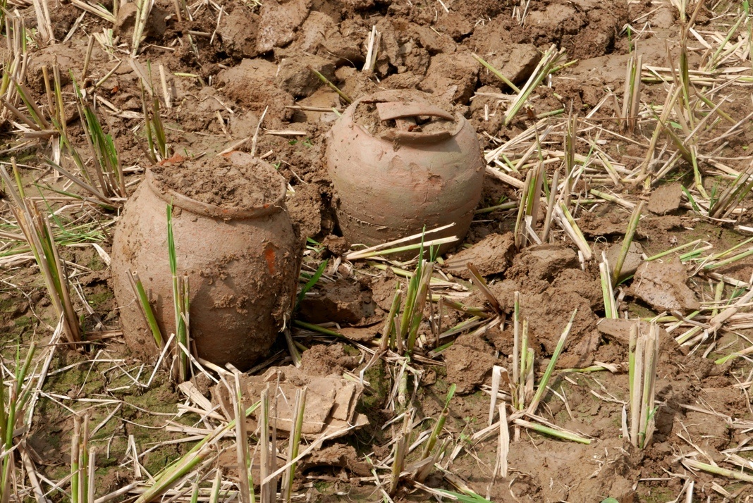 Di lam dong, phat hien nhieu co vat hang nghin nam hinh anh