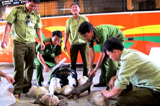 Bat xe cho nua tan long heo thoi va 12 con te te, rua hinh anh