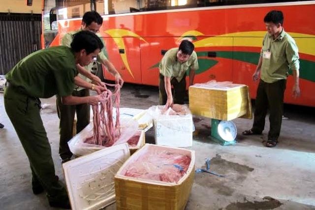 Số lòng heo thối bị thu giữ. Ảnh: T. B.