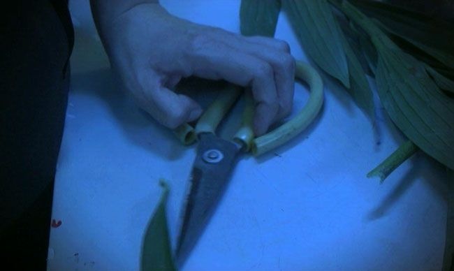 Nghich tu tron vien ve nha sat hai me hinh anh