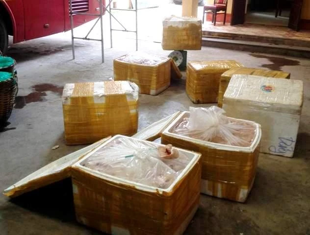 Hơn 7 tạ nội tạng động vật hôi thối bị bắt giữ. Ảnh: T. B.