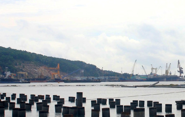 Khoi cong cang tong hop quoc te gang thep gan 6.000 ty dong hinh anh