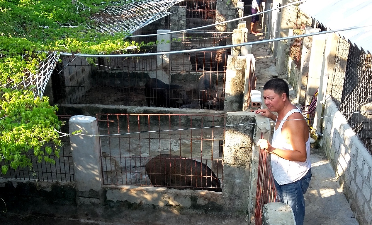 Hai lan mat tram trieu vi nuoi lon rung lai hinh anh