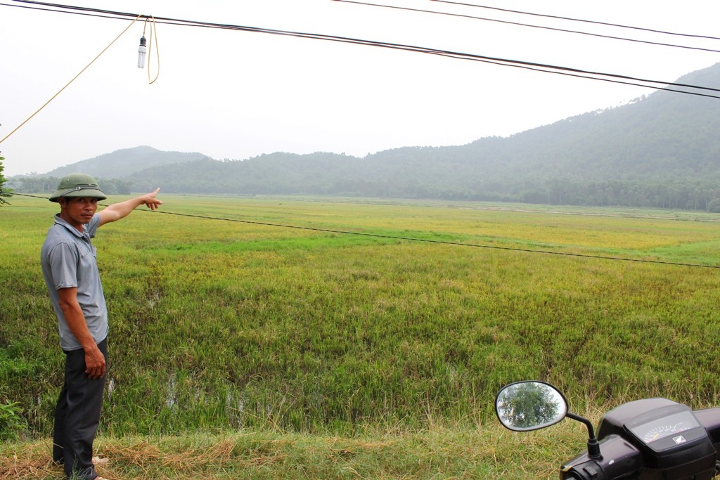 Khu vực cánh đồng Rạc (xã Thanh Sơn)