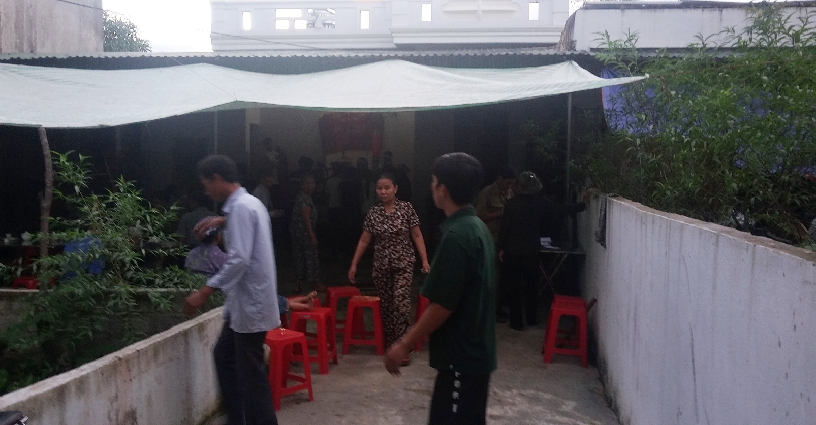 Ong lao 78 tuoi doat mang con trai hinh anh