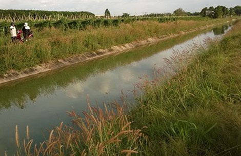 Roi xuong muong, chau be 3 tuoi tu vong hinh anh