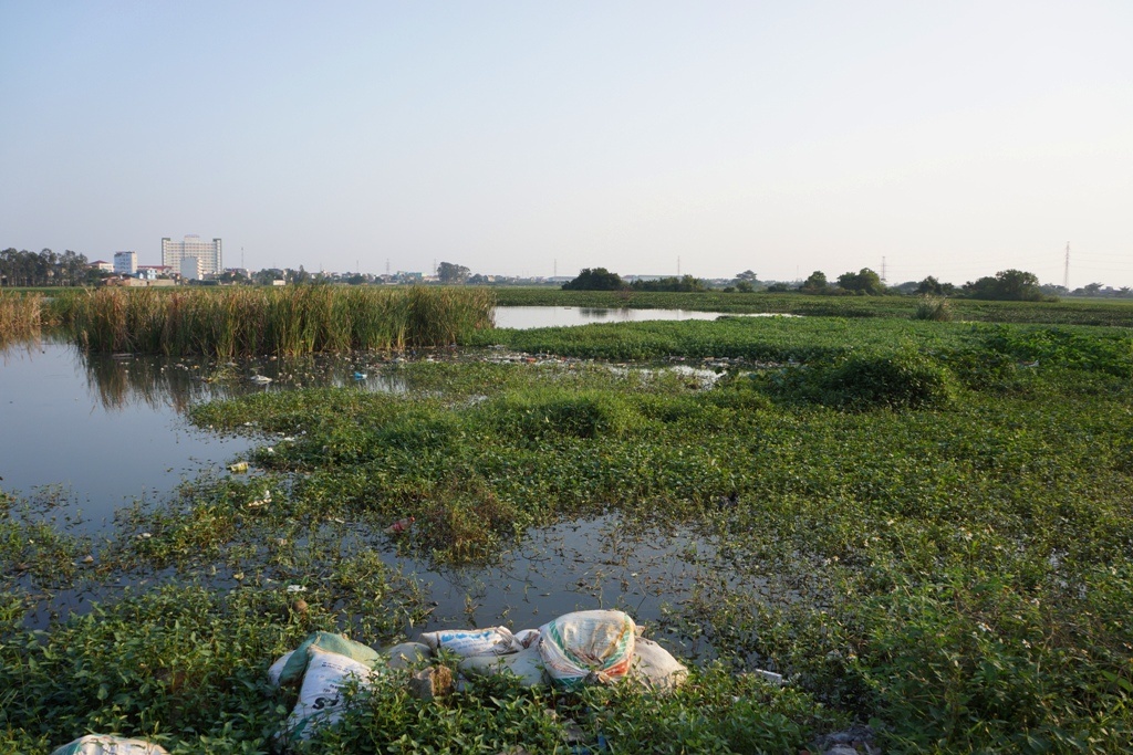 6 benh vien xa thai, 60 ha ruong bi bo hoang hinh anh
