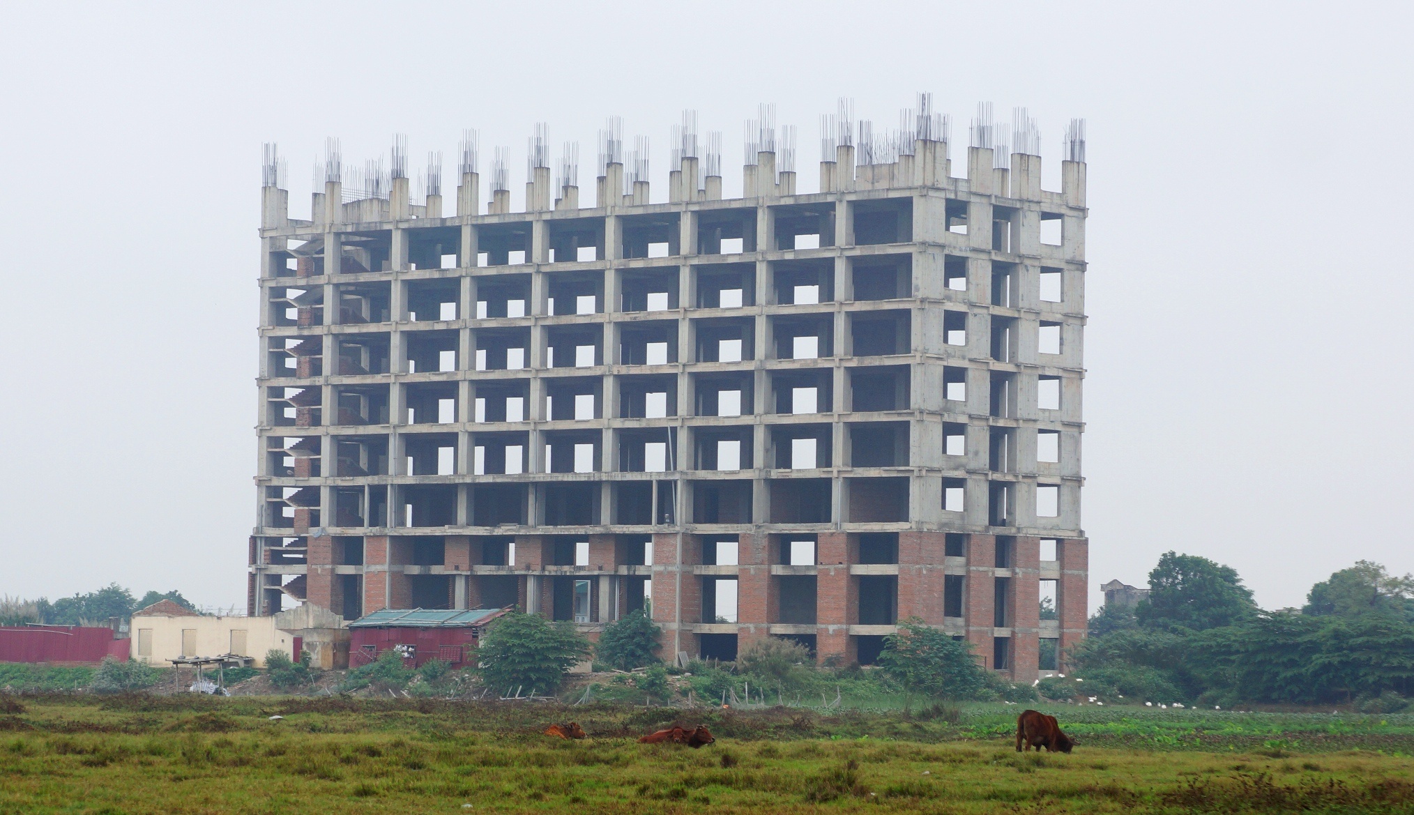 Du an nha sinh vien 600 ty bo hoang thanh chuong vit hinh anh