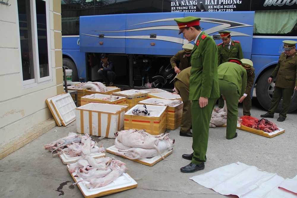 Hon 1 tan cho, meo va noi tang thoi tren xe khach hinh anh